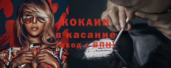 шишки Новокубанск