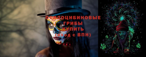 таблы Горняк