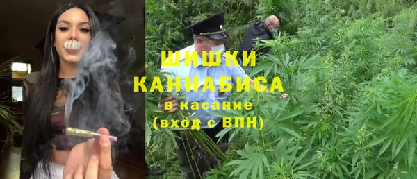 ГАЛЛЮЦИНОГЕННЫЕ ГРИБЫ Нязепетровск