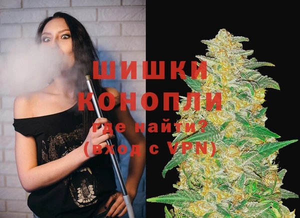 шишки Новозыбков