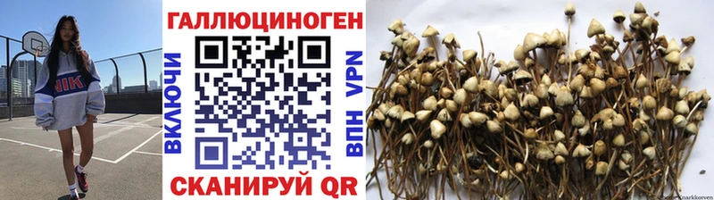 Галлюциногенные грибы мухоморы хочу наркоту Обь
