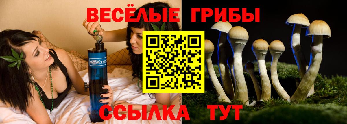 Псилоцибиновые грибы Magic Shrooms  Вход с VPN  Обь 